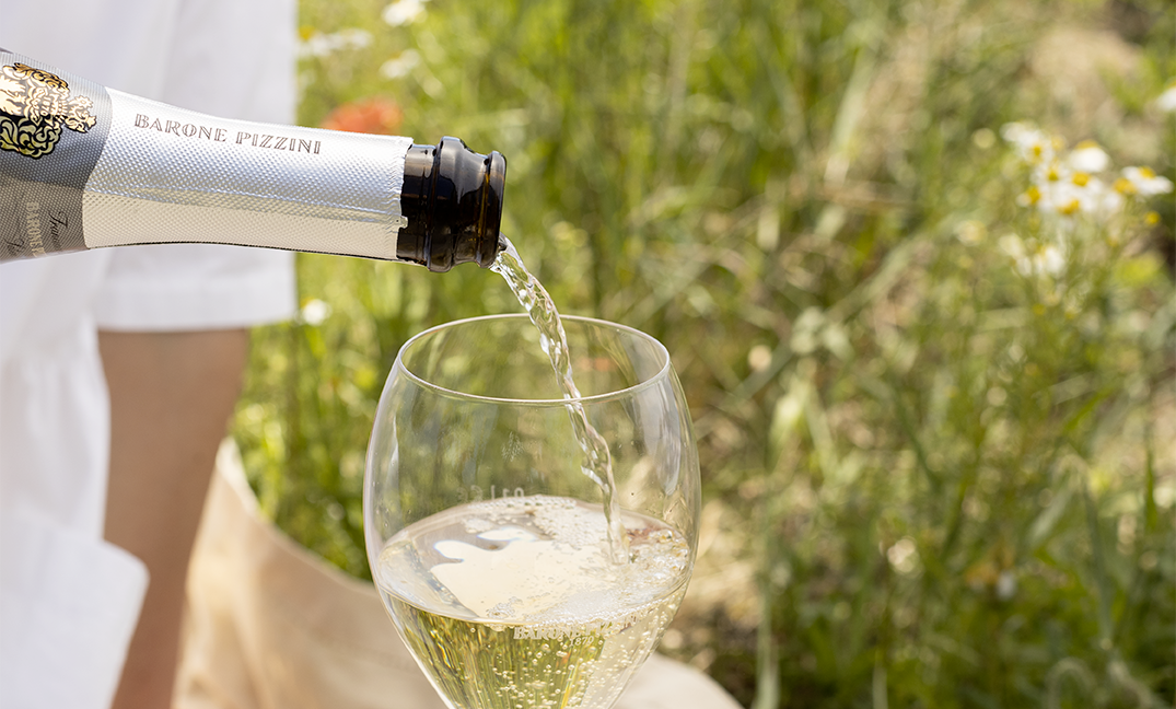 progettazione del sito web della cantina vinicola Barone Pizzini
