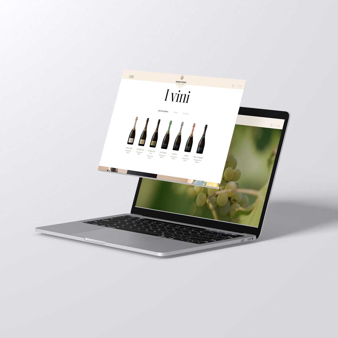 Sito web Barone Pizzini