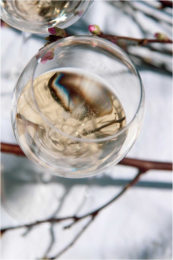 marketing e strategie cantine vinicole