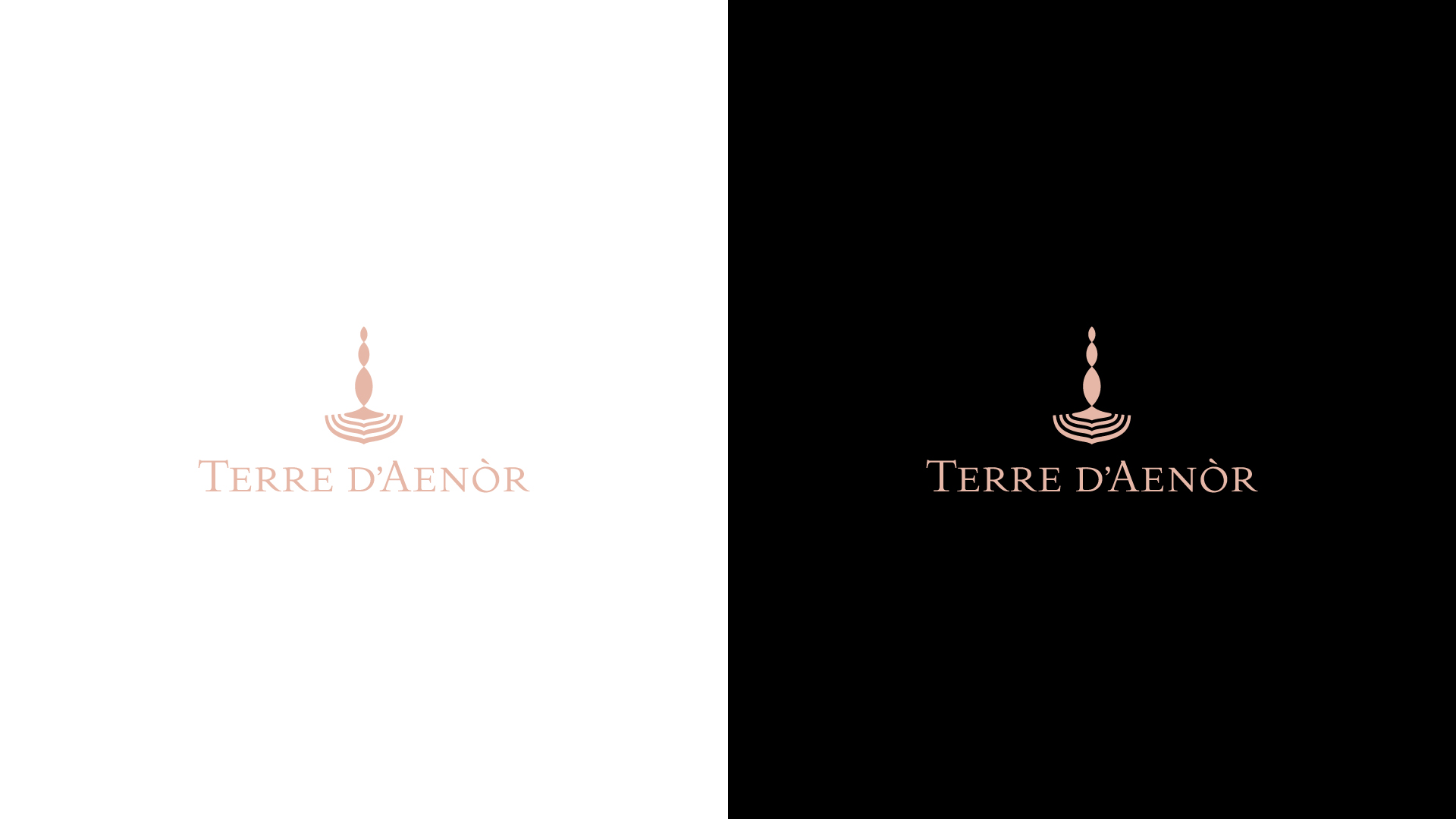 terre daenor logo brand