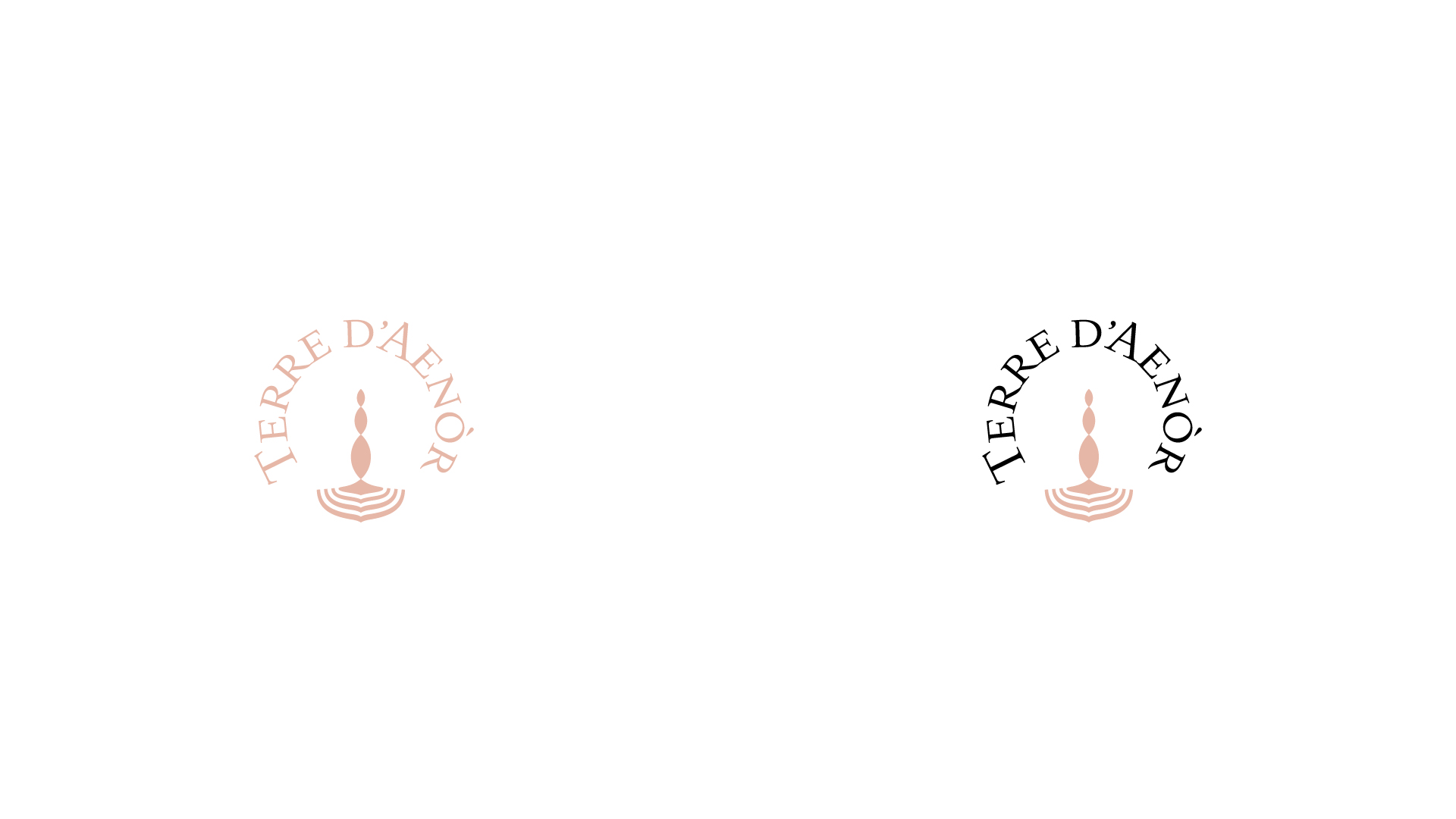 terre d-aenor logo colori