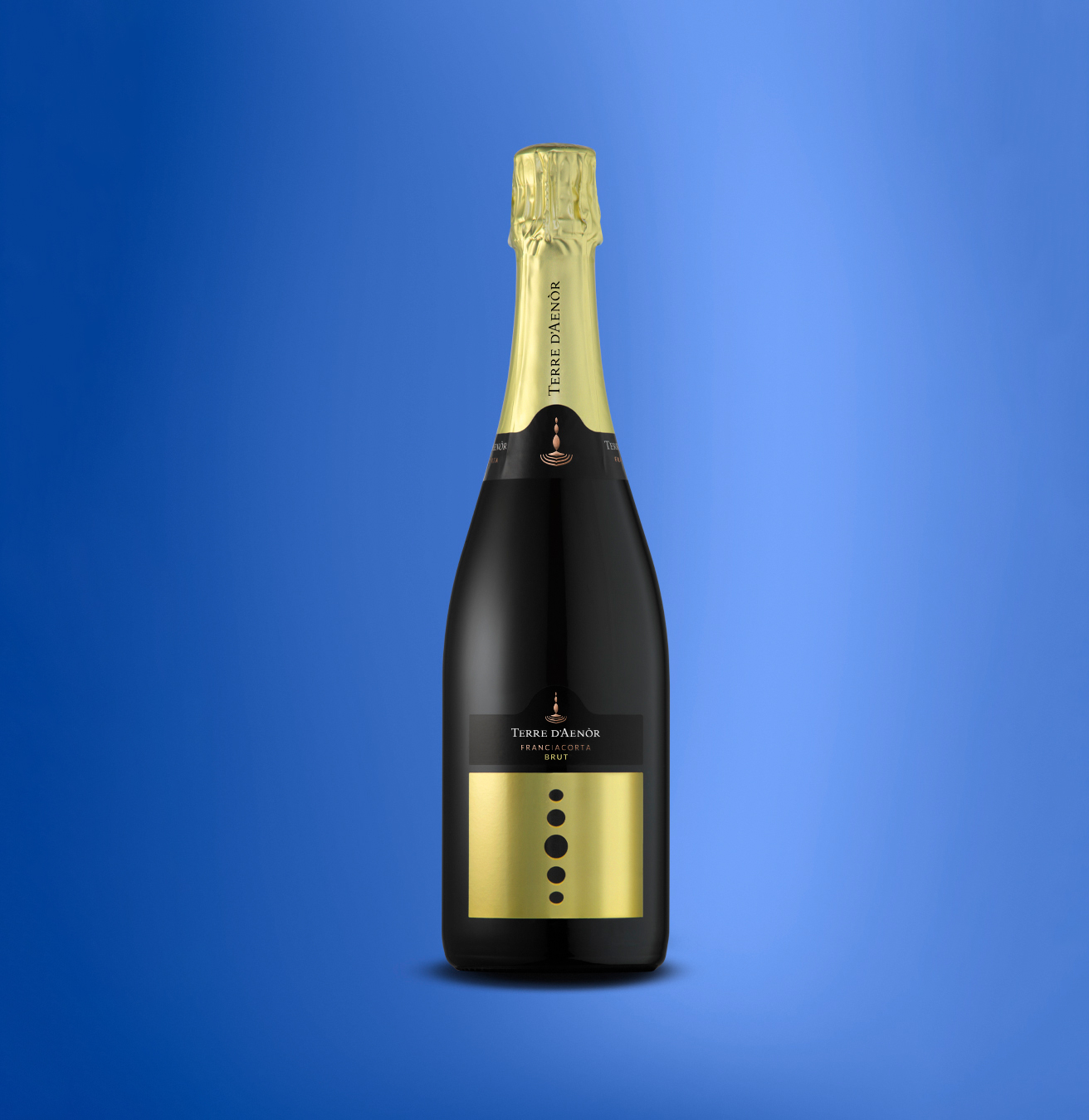 Terre d'Aenor brut