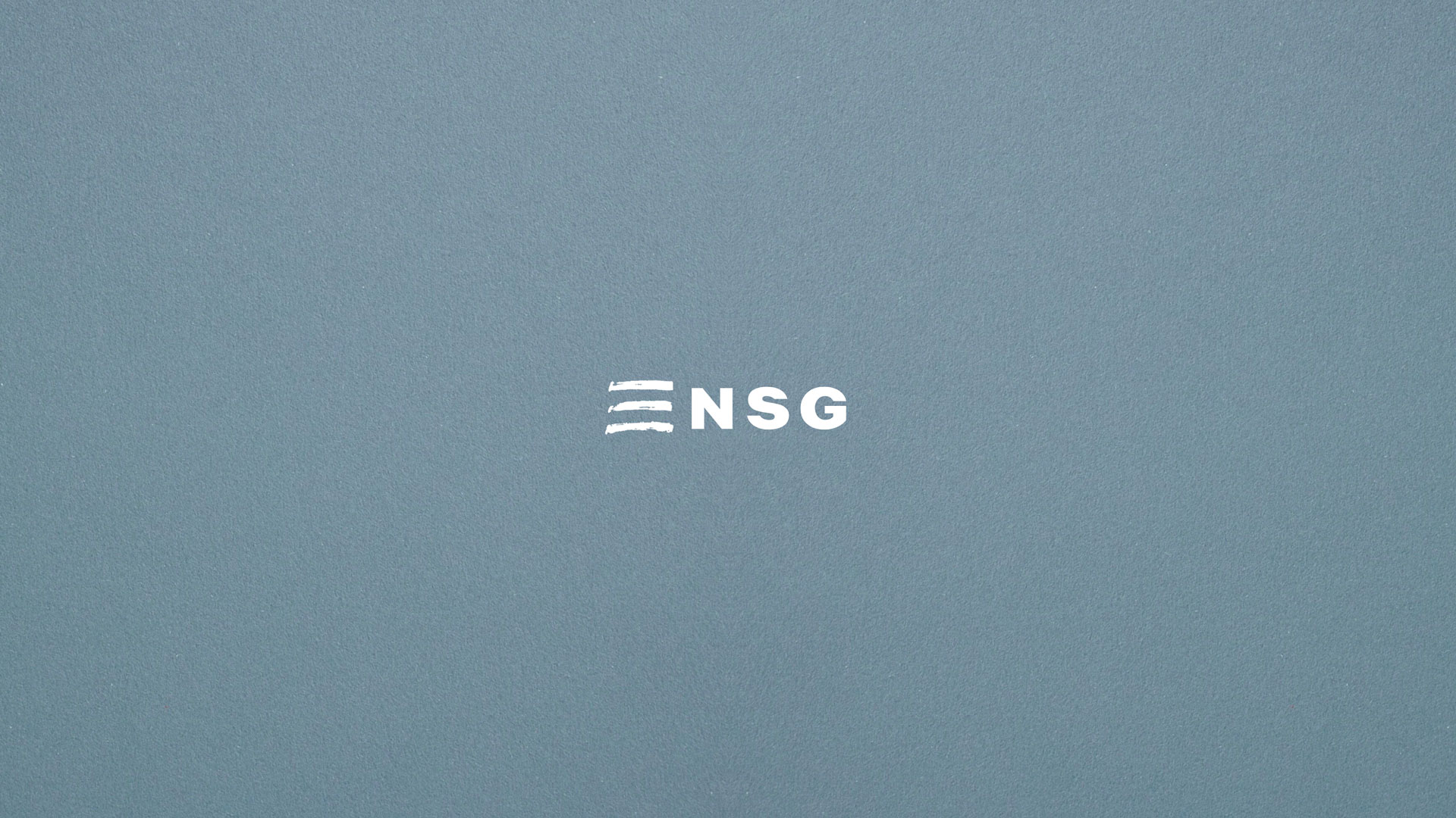 logo nsg